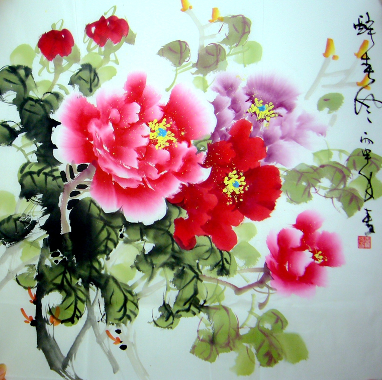 三尺斗方富貴牡丹