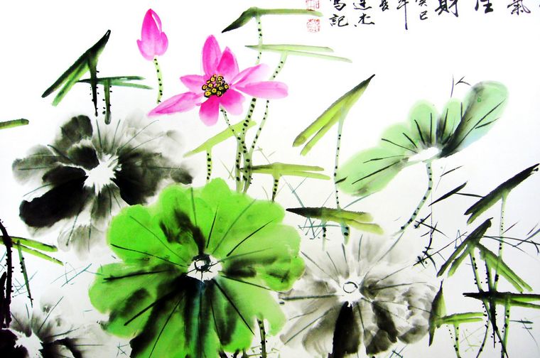 四尺寫意畫荷花