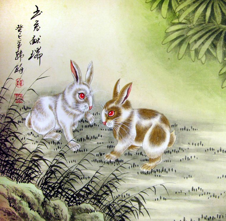 國畫兔子