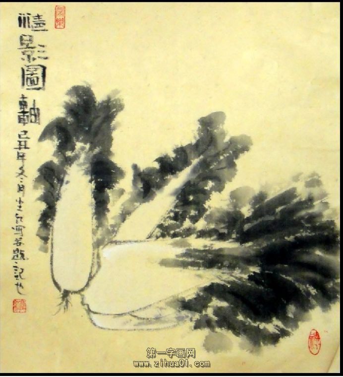 大白菜畫